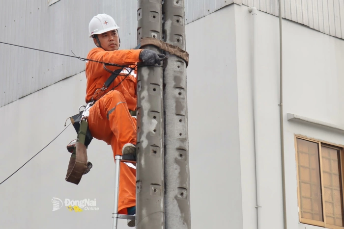 Tăng cường hơn 340 ca trực đảm bảo điện dịp Tết