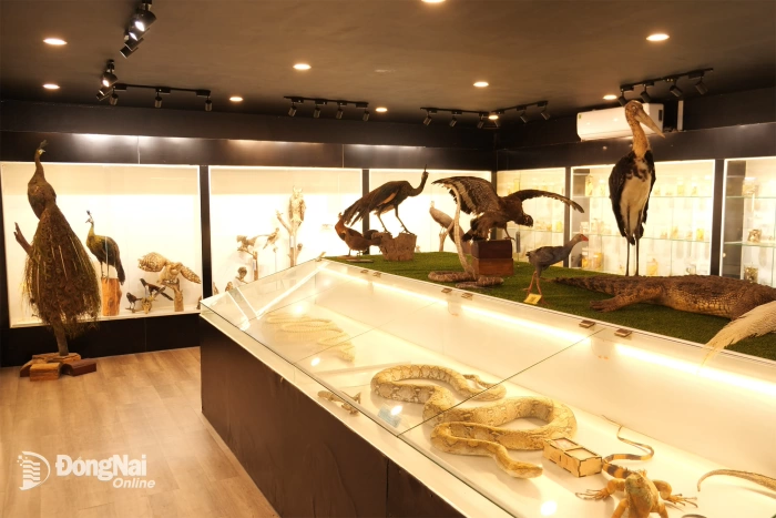 Hai thế giới trong một khu rừng Cát Tiên