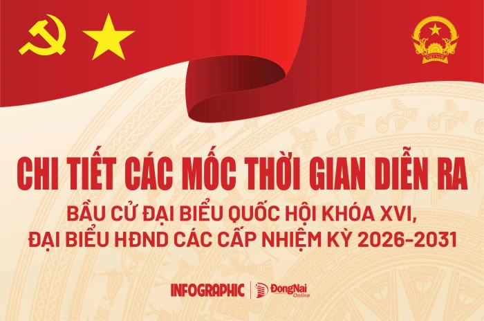 [Infographic] Chi tiết các mốc bầu cử đại biểu Quốc hội khóa XVI, đại biểu HĐND các cấp nhiệm kỳ 2026-2031