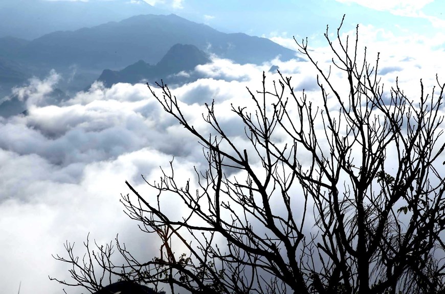 The trees showcase the vigorous life on the mountain peak, which is over 1,000 metres above sea level. 