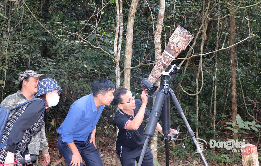 2. Những ngày đầu năm 2024, nhóm của anh LamJiang đi săn ảnh chim gõ kiến tại khu rừng vào Trung ương Cục miền Nam