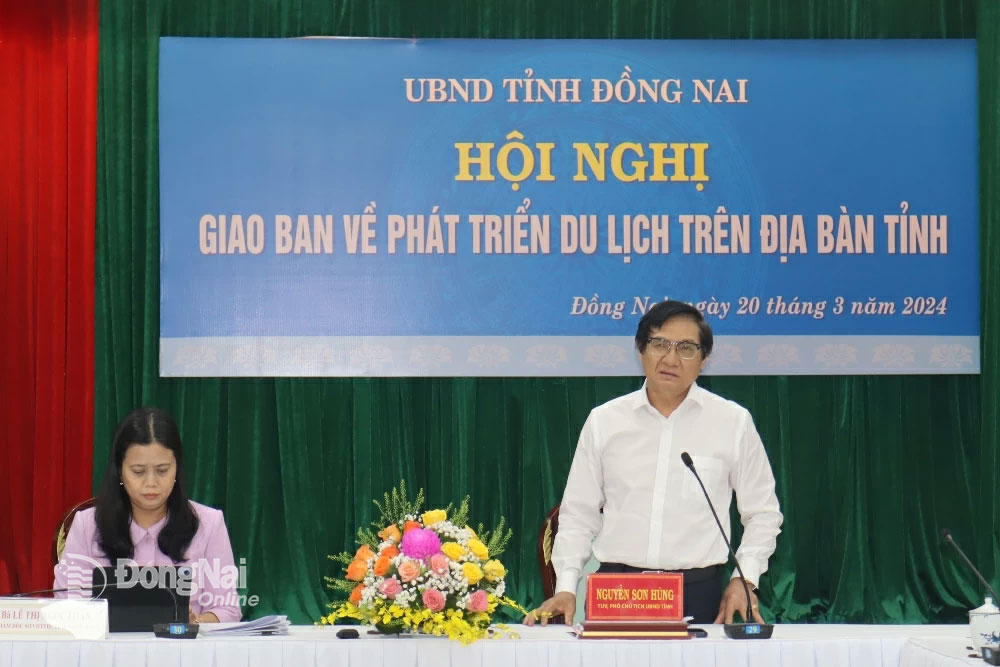 Phó chủ tịch UBND tỉnh Nguyễn Sơn Hùng phát biểu kết luận hội nghị