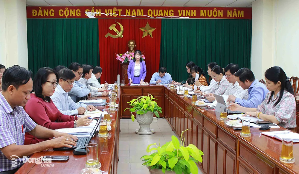 Phó chủ tịch HĐND tỉnh Hoàng Thị Bích Hằng phát biểu tại hội nghị