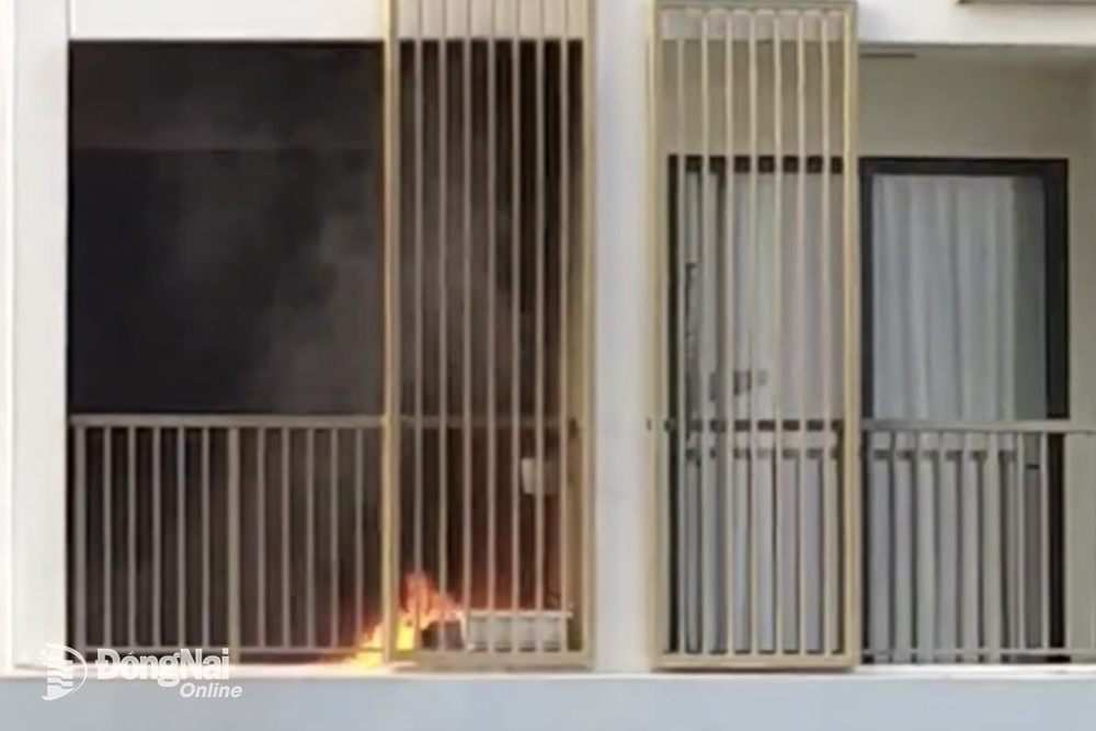 Ngọn lửa phát ra từ gốc cây trên ban công 1 căn hộ tầng 7 tại một chung cư thuộc phường Thống Nhất (thành phố Biên Hòa). Ảnh: CTV