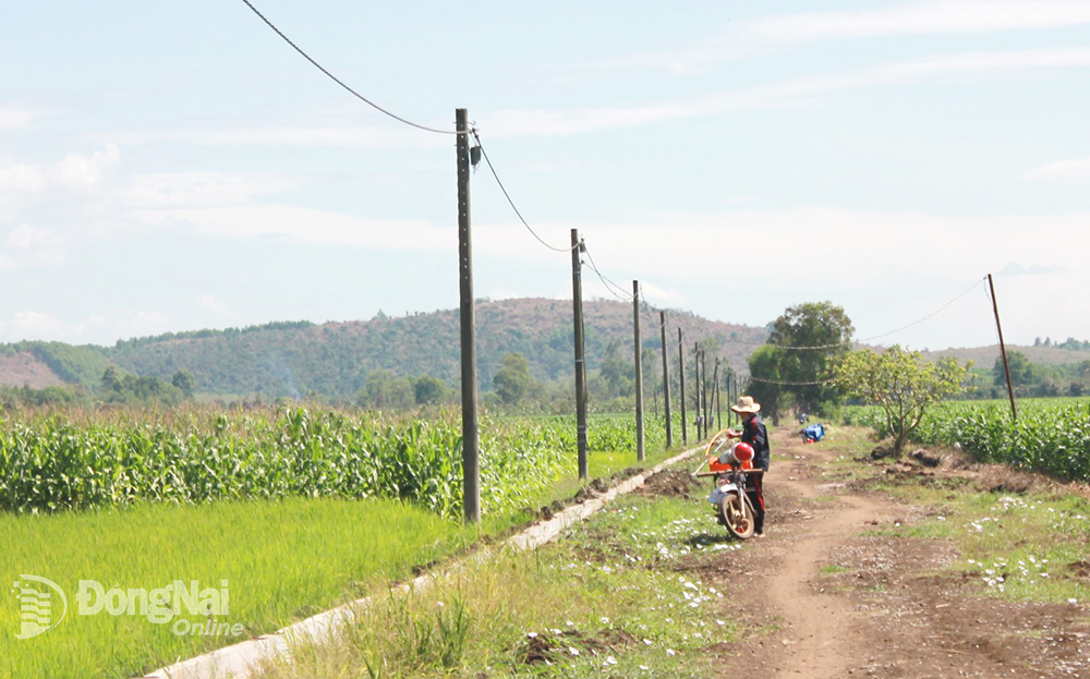 Sản xuất nông nghiệp ứng phó với nắng nóng, khô hạn