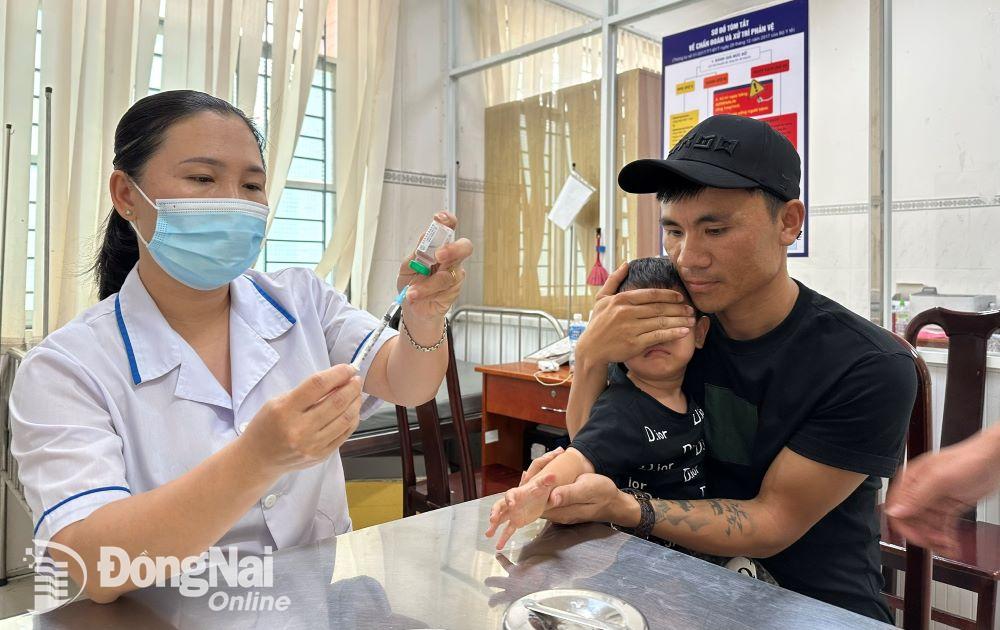 Nhân viên y tế Trung tâm Kiểm soát bệnh tật tỉnh chuẩn bị thử thuốc để tiêm huyết thanh cho một em bé bị chó lạ cắn vào tay. Ảnh: Hạnh Dung