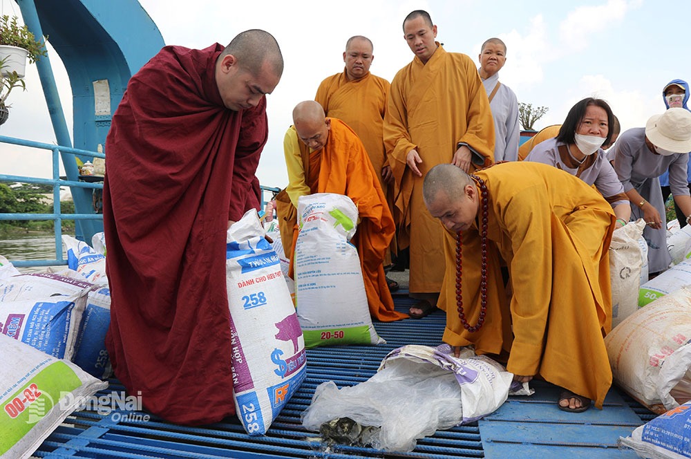 Hoạt động phóng sinh góp phần đa dạng nguồn lợi thủy sản do Giáo hội Phật giáo Việt Nam tỉnh thực hiện. Ảnh: Văn Truyên