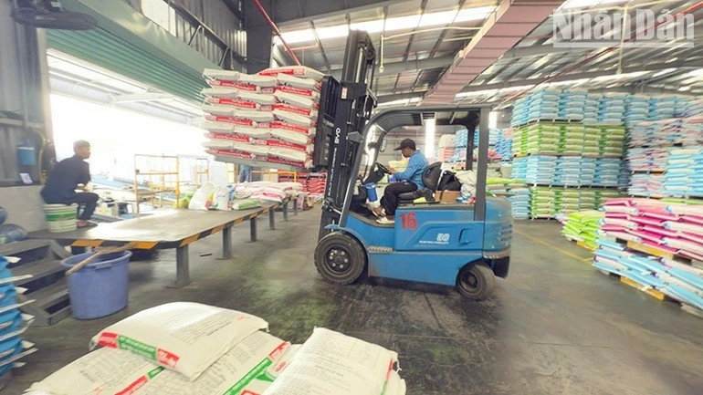 The structure of employed labor in 2025 continues to shift toward industrialization and service development. (Photo: Nhan Dan Newspaper)