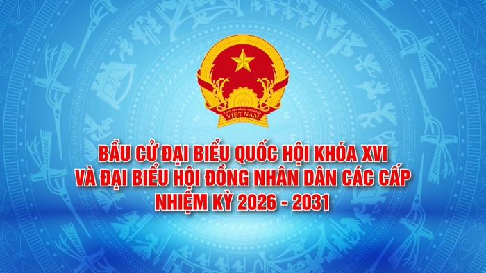 [Video] Chương trình hành động của các ứng cử viên đại biểu HĐND tỉnh Đồng Nai nhiệm kỳ 2026-2031 - Đơn vị bầu cử số 24