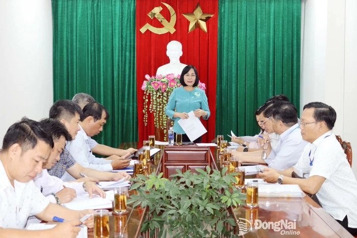 Đề xuất không đấu giá 9 khu vực khai thác khoáng sản tại Đồng Nai