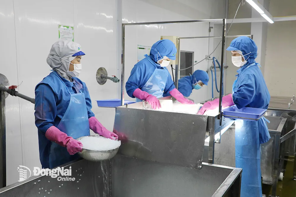 Chế biến thạch dừa tại một nhà máy của GC Food tại Khu công nghiệp Hố Nai. Ảnh: Vương Thế