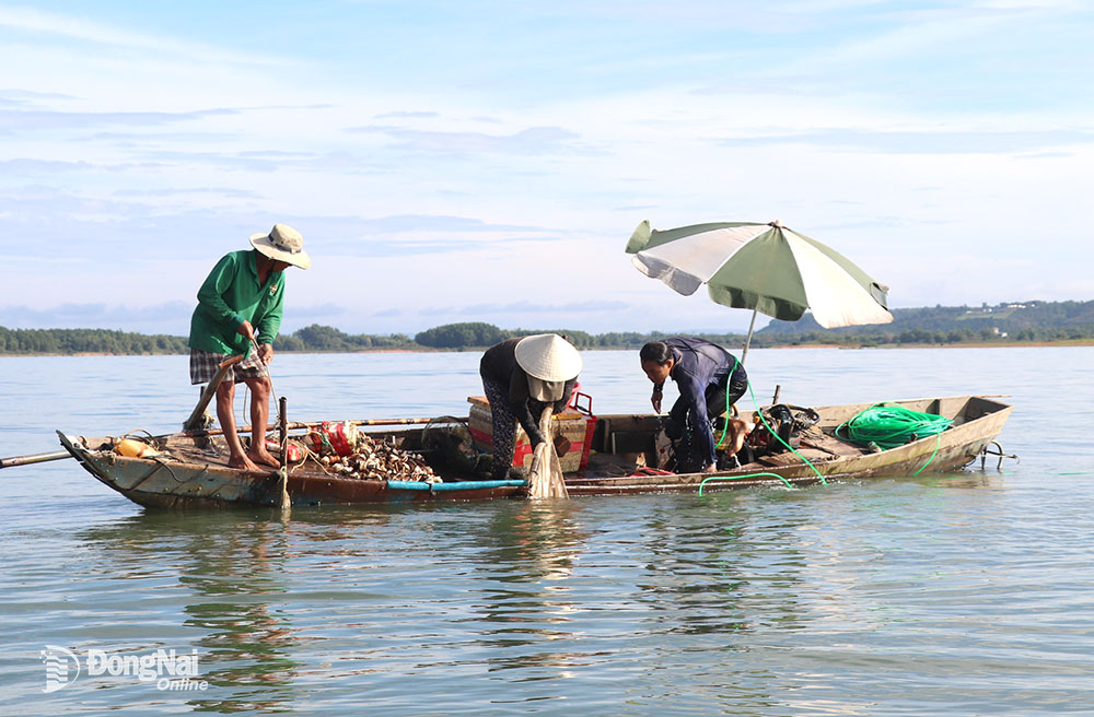 Ngư dân được dùng lưới đánh bắt thủ công trên hồ Trị An. Ảnh: Thành Nhân
