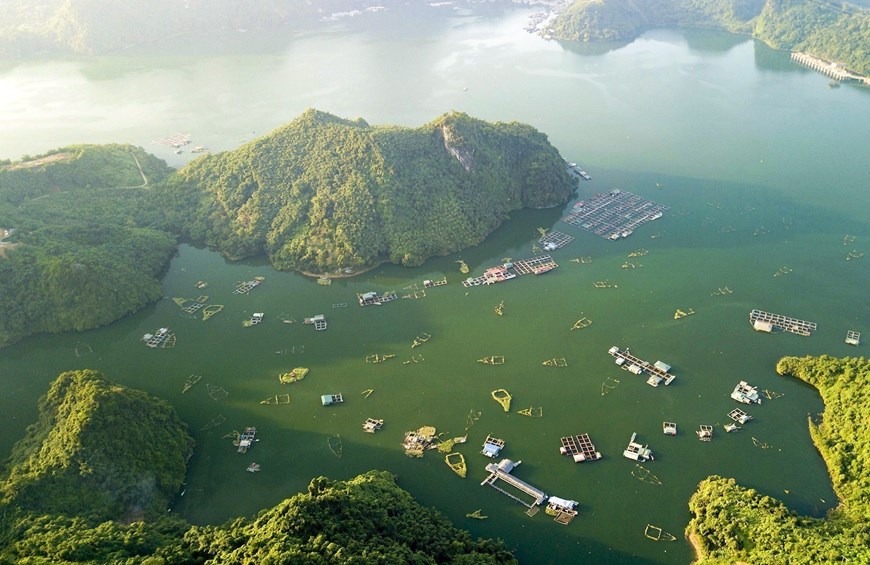 Cage fish farming combined with tourism is a significant advantage for residents engaged in aquaculture on the waters of Hoa Binh Lake.