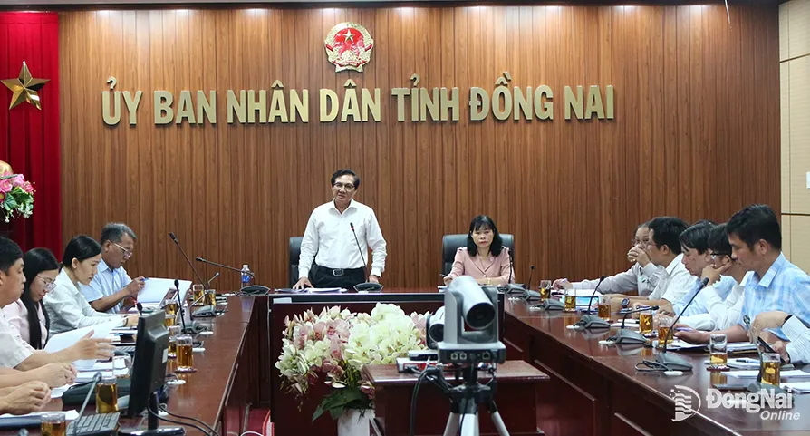 Phó chủ tịch UBND tỉnh Nguyễn Sơn Hùng phát biểu tại buổi làm việc. Ảnh: Lan Mai
