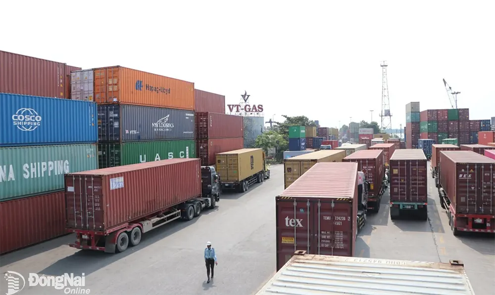 Cảng Đồng Nai, nơi có chi cục hải quan cửa khẩu đã phát triển mạnh về giao thương hàng hóa trong nước và quốc tế. Ảnh: Ngọc Liên.
