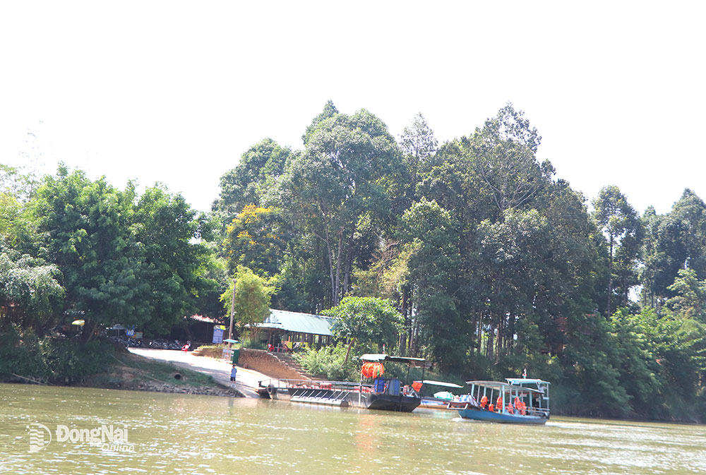 Vườn quốc gia Cát Tiên là điểm đến hấp dẫn nhiều du khách trong và ngoài nước. Ành: N.L
