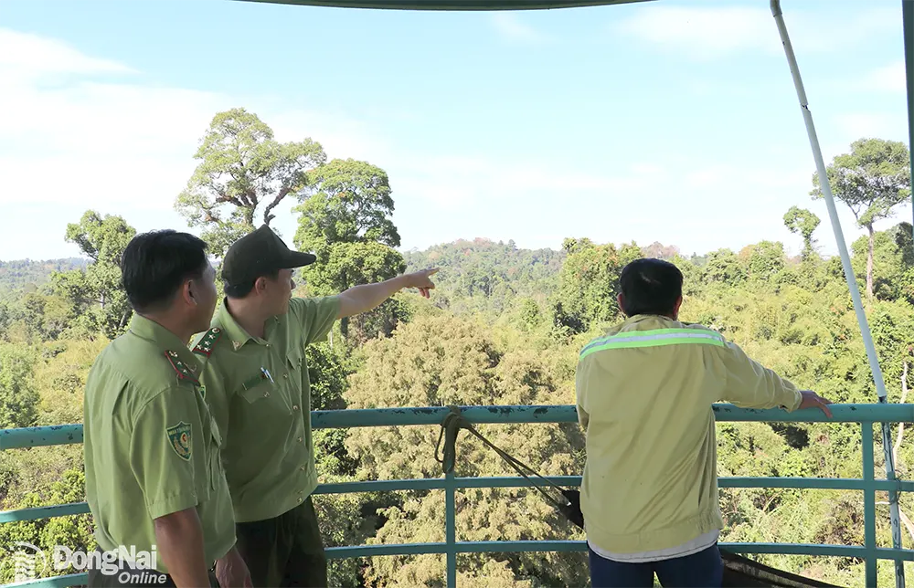 Lực lượng kiểm lâm Khu Bảo tồn thiên nhiên - văn hóa Đồng Nai làm nhiệm vụ canh giữ rừng. Ảnh: An Nhơn