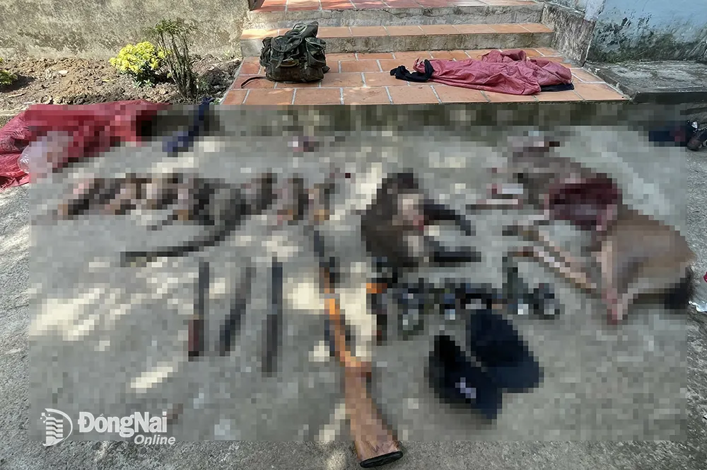 Tang vật thu giữ được từ nhóm “lâm tặc” tại rừng Vườn quốc gia Cát Tiên vào năm 2023. Ảnh: CTV