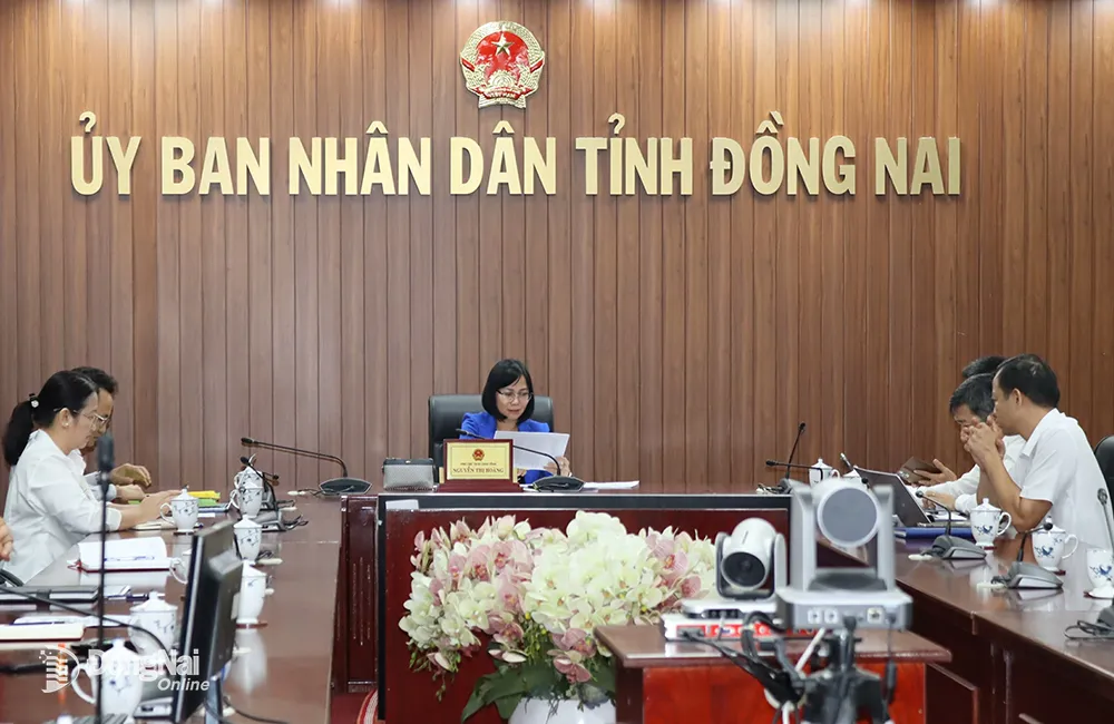 Phó chủ tịch UBND tỉnh Nguyễn Thị Hoàng chủ trì hội nghị điểm cầu Đồng Nai. Hoàng Lộc