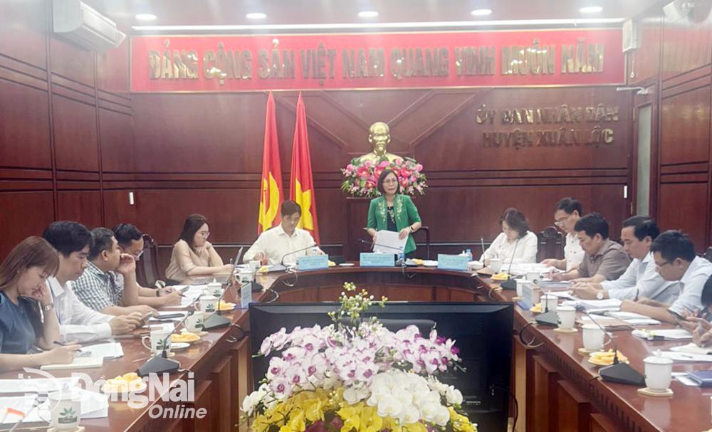Phó chủ tịch UBND tỉnh Nguyễn Thị Hoàng phát biểu chỉ đạo tại buổi làm việc. Ảnh: Giang Nam