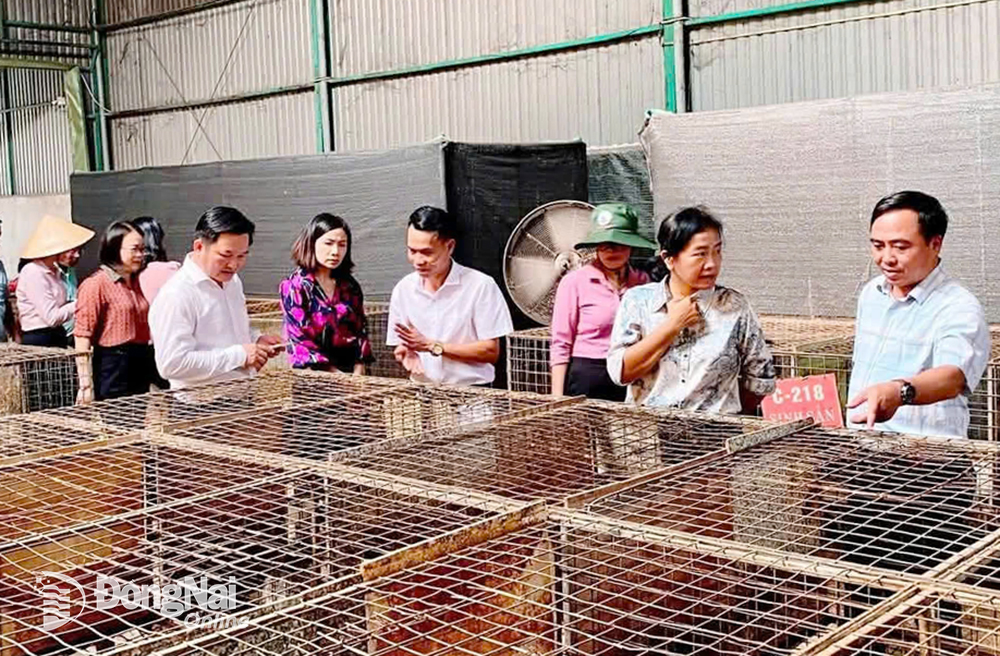 Đoàn công tác của Hội Nông dân tỉnh tham quan mô hình sản xuất, kinh doanh giỏi tại huyện Trảng Bom. Ảnh: Phan Trí