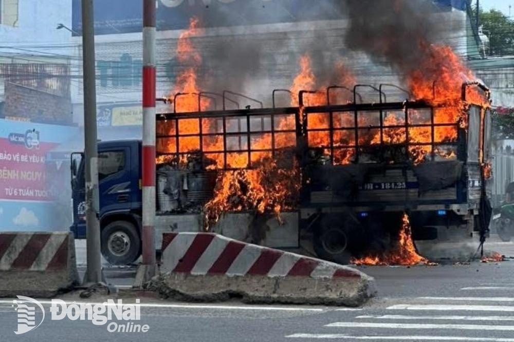 Chiếc xe tải và nhiều hàng hóa sau thùng xe bị cháy trên quốc lộ 51. Ảnh: CTV