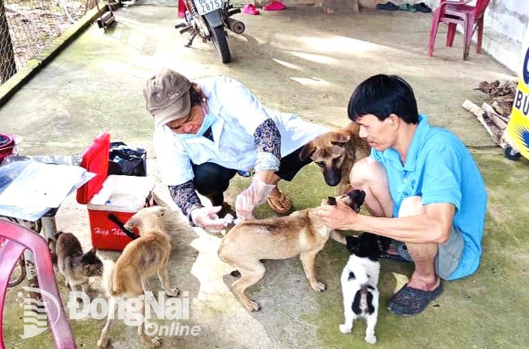 Tiêm vaccine phòng dại cho chó trên địa bàn huyện Long Thành. Ảnh: C.T.V