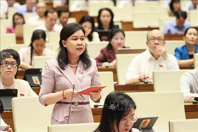 Đại biểu Quốc hội thành phố Hà Nội Nguyễn Phương Thủy phát biểu. Ảnh: An Đăng/TTXVN
