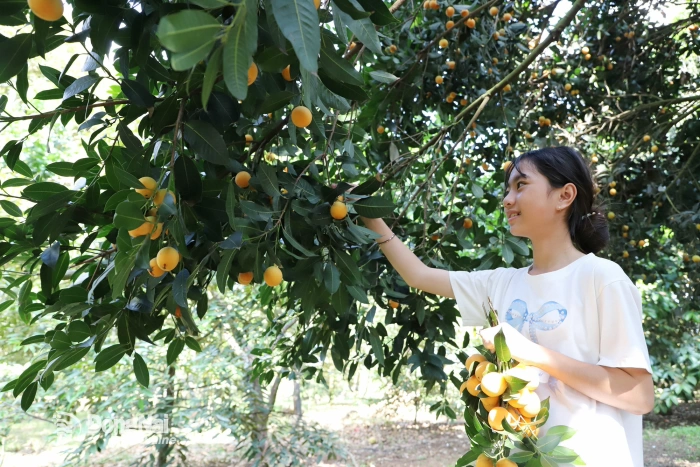 Trồng cây đặc sản gắn với phát triển du lịch vườn