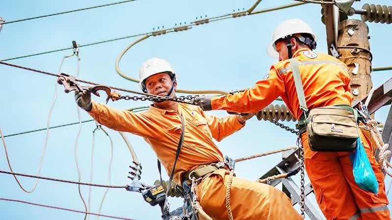 EVNSPC strengthens periodic inspections of transmission lines to ensure electricity supply during the dry season. (Photo: VNA)