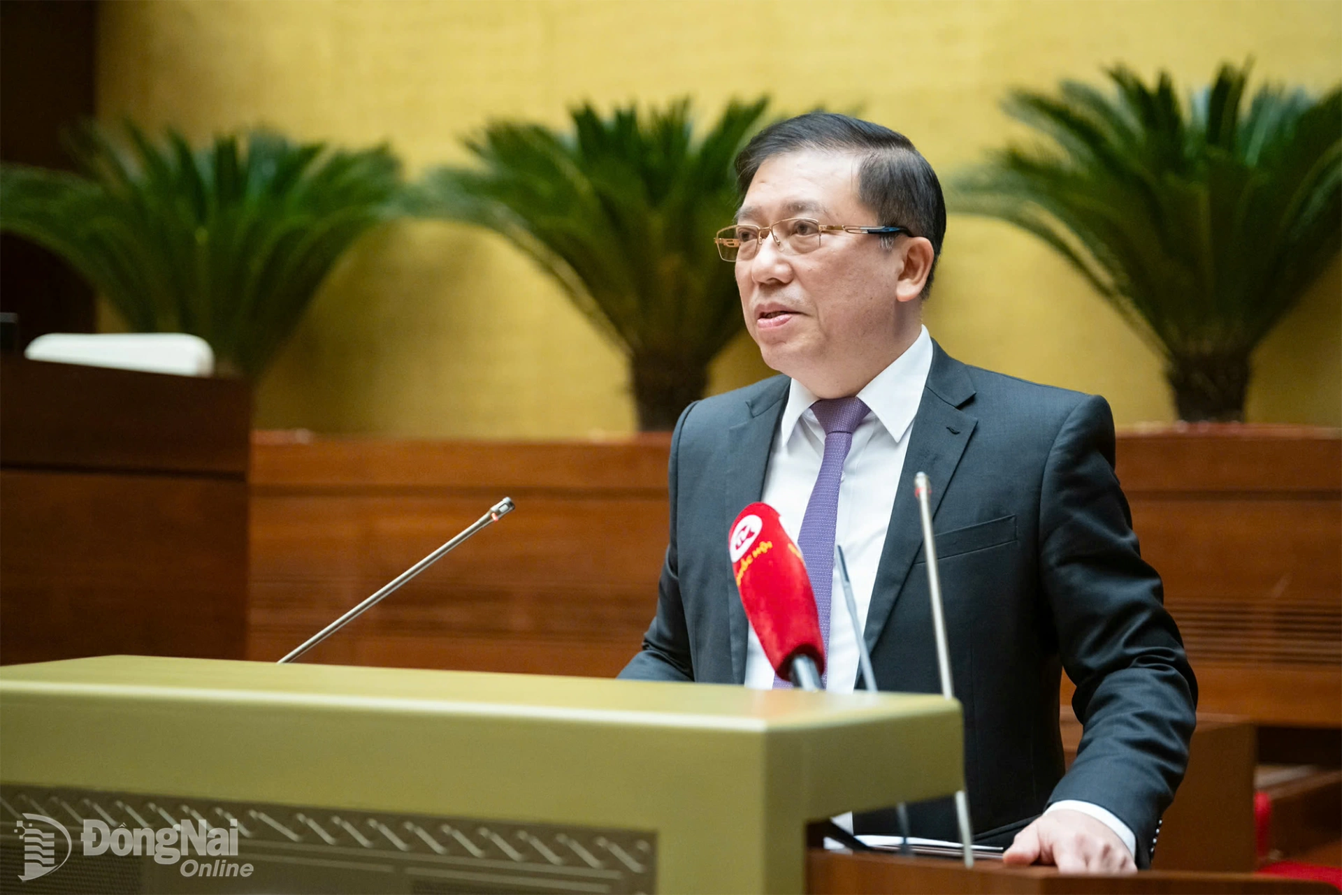 National Assembly deputy Nguyen Tuan Anh.