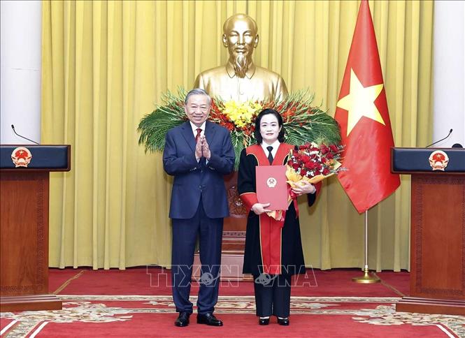 Tổng Bí thư, Chủ tịch nước Tô Lâm trao Quyết định bổ nhiệm chức vụ Phó Chánh án Tòa án nhân dân Tối cao đối với Thẩm phán Tòa án nhân dân Tối cao Nguyễn Hải Trâm. Ảnh: Thống Nhất/TTXVN

