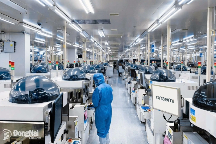 Promoting effectiveness of potential and advantages