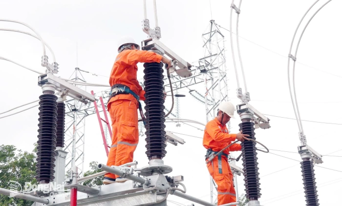 Dong Nai calls for accelerated implementation of power projects under national plan