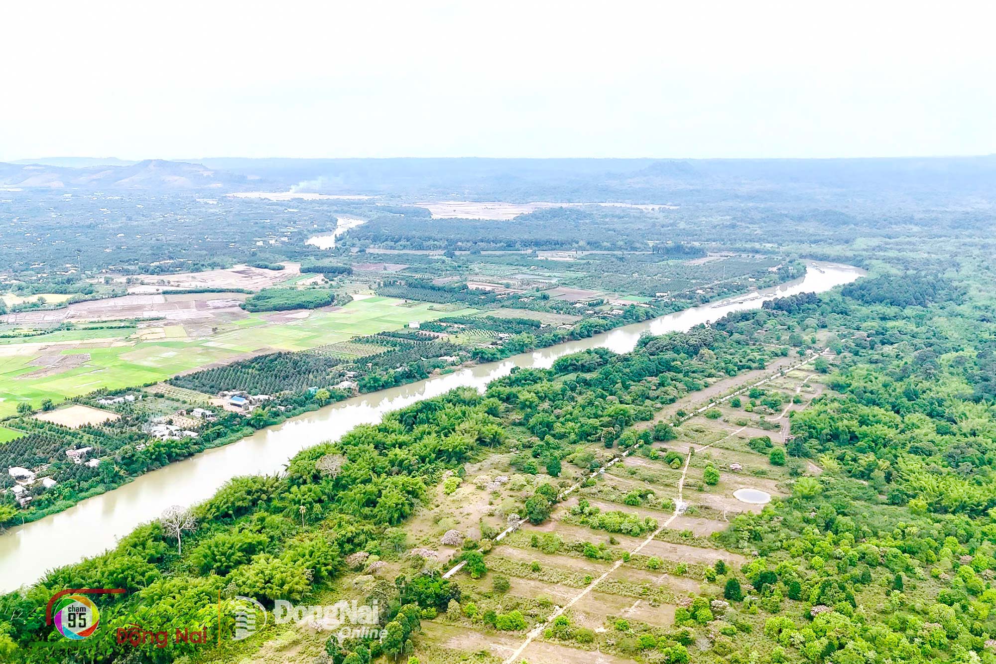Located along the Dong Nai River, Cat Tien National Park offers river-based forest tours for visitors. Photo: Gia Vinh

