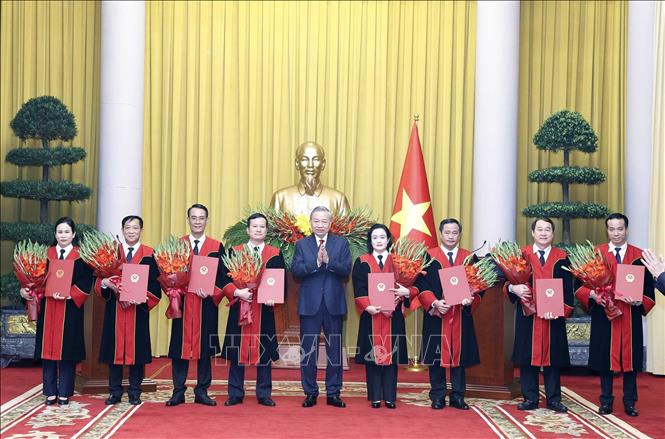Tổng Bí thư, Chủ tịch nước Tô Lâm trao Quyết định bổ nhiệm chức danh Thẩm phán Toà án nhân dân Tối cao cho các thẩm phán. Ảnh: Thống Nhất/TTXVN
