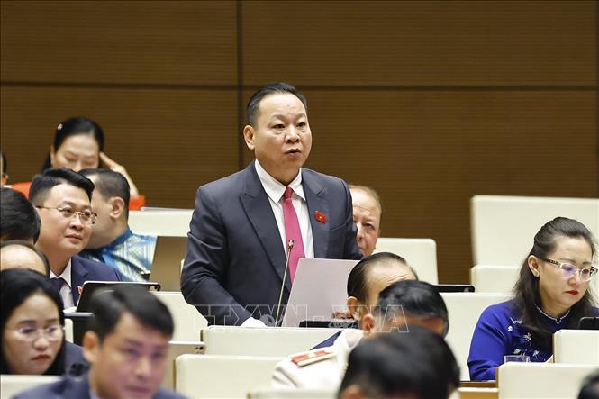 Đại biểu Quốc hội tỉnh Lào Cai Tráng A Dương phát biểu. Ảnh: Doãn Tấn/TTXVN
