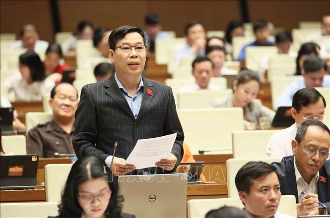 Đại biểu Quốc hội thành phố Hà Nội Đỗ Đức Hồng Hà phát biểu. Ảnh: An Đăng/TTXVN
