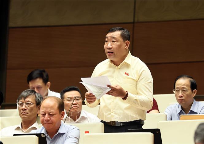 Đại biểu Quốc hội tỉnh Vĩnh Long Thạch Phước Bình phát biểu. Ảnh: An Đăng/TTXVN
