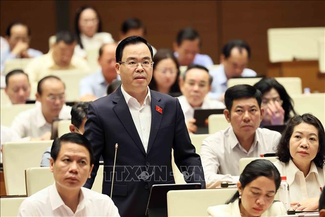 Đại biểu Quốc hội tỉnh Ninh Bình Trần Văn Khải phát biểu. Ảnh: An Đăng/TTXVN
