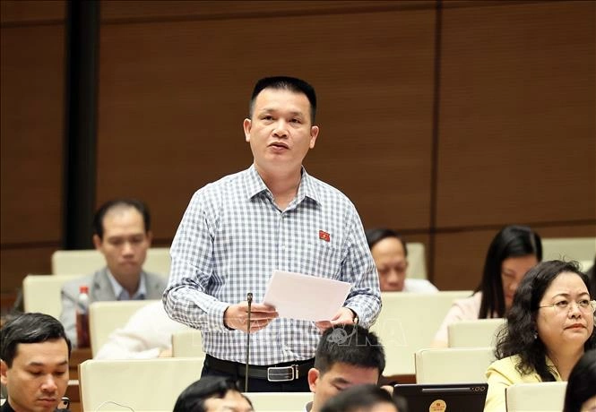 Đại biểu Quốc hội tỉnh Tuyên Quang Hoàng Ngọc Định phát biểu. Ảnh: An Đăng/TTXVN
