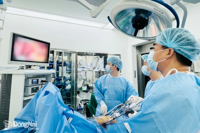 Dong Nai’s healthcare: Driving breakthroughs to meet centrally governed city standards