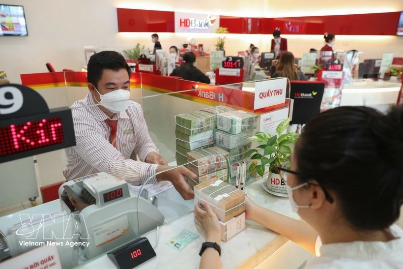 The State Bank of Vietnam set the daily reference exchange rate at 25,102 VND/USD on April 17. (Photo: VNA)