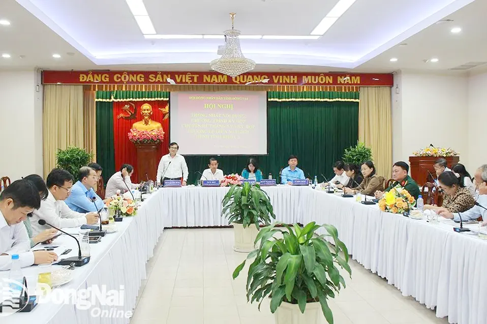 Phó chủ tịch UBND tỉnh Nguyễn Sơn Hùng phát biểu tại hội nghị. Ảnh: Hồ Thảo
