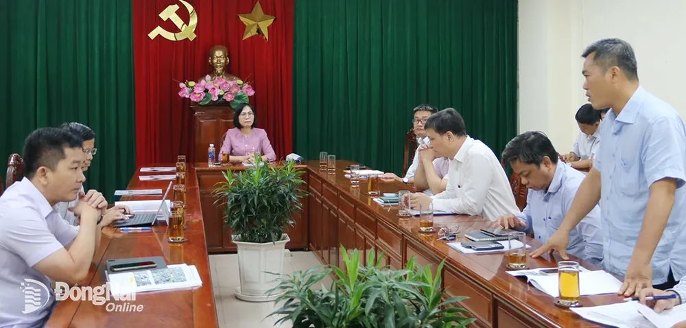 Phó chủ tịch UBND tỉnh Nguyễn Thị Hoàng chủ trì cuộc họp. Ảnh Văn Gia