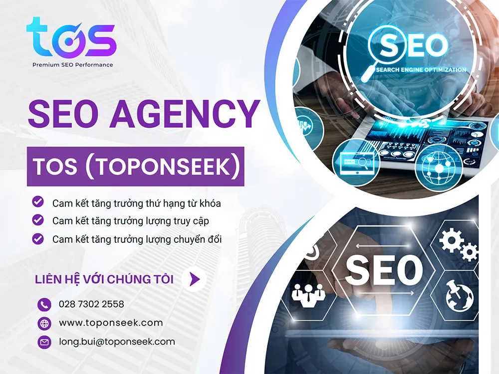 Premium SEO Performance Agency - TOS cung cấp giải pháp SEO hiệu quả. Nguồn: TOS