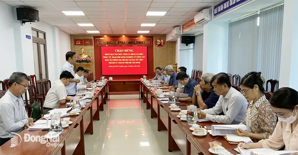 Phó trưởng ban Tổ chức Tỉnh ủy Nguyễn Thanh Tú phát biểu tại buổi làm việc. Ảnh: Tấn Đô