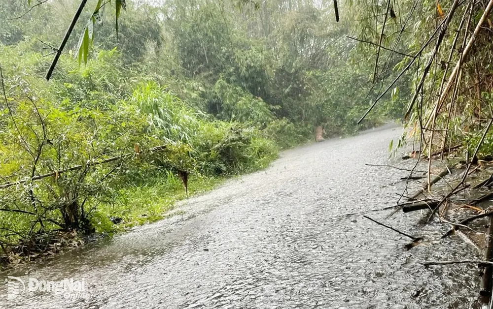 Hiện chất thải đã được ngăn chặn không còn thải ra ngoài dòng suối Mã Đà nữa. Ảnh: CTV
