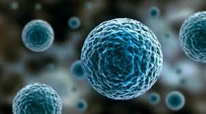 Bị ung thư sẽ chết phải không?