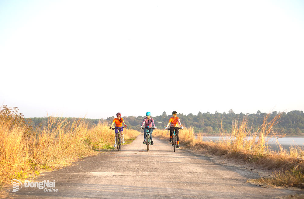 Khu Bảo tồn thiên nhiên - văn hóa Đồng Nai đề xuất thu phí tham quan. Trong ảnh: Người dân và du khách trải nghiệm đạp xe tại Khu Bảo tồn thiên nhiên - văn hóa Đồng Nai. Ảnh: K.B.T